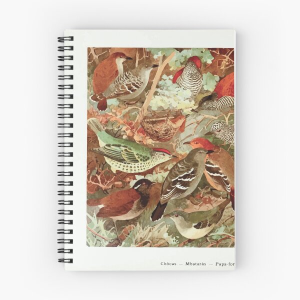 Item preview, Birds of the Amazon Album de aves amazonicas Emil Goldi 1906 022 Chocas Mbataras Papa formigas Vira folhas designed and sold by WetdryvacRB01.