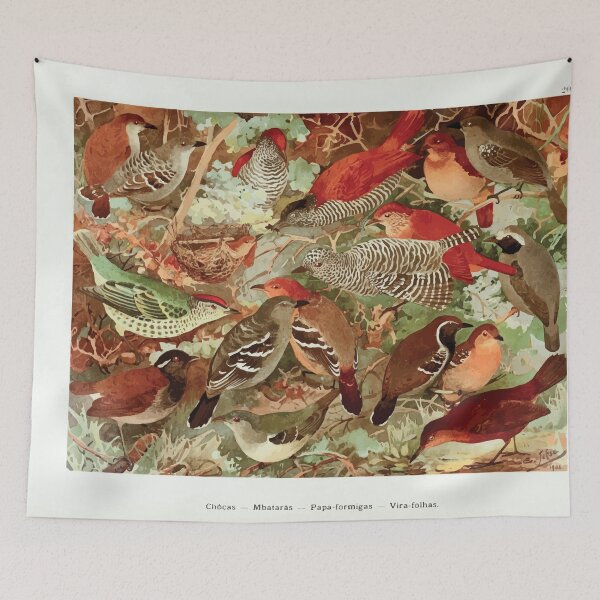 Item preview, Birds of the Amazon Album de aves amazonicas Emil Goldi 1906 022 Chocas Mbataras Papa formigas Vira folhas designed and sold by WetdryvacRB01.