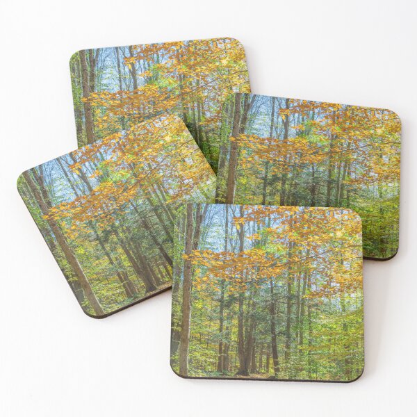 Item preview, Sunny Fall Forest designed and sold by Brooke T Ryan Photographic Art.
