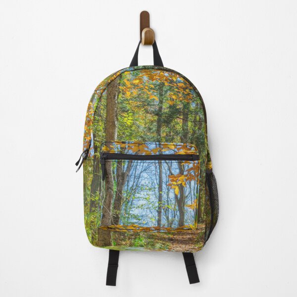 Item preview, Sunny Fall Forest designed and sold by Brooke T Ryan Photographic Art.