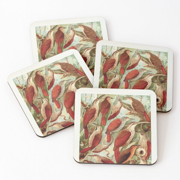 Item preview, Birds of the Amazon Album de aves amazonicas Emil Goldi 1906 023 Arapacus Pseudo Picapaus designed and sold by WetdryvacRB01.