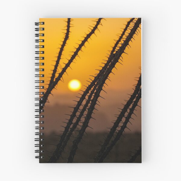 Item preview, Ocotillo Sunset designed and sold by petermarting.