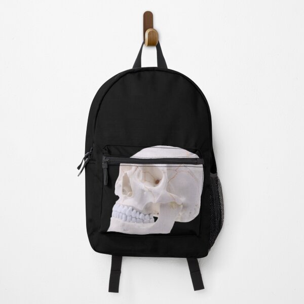 Item preview, Human Anatomy Skull designed and sold by DAREENTER.