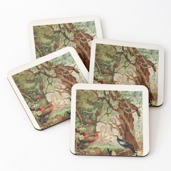 Item preview, Birds of the Amazon Album de aves amazonicas Emil Goldi 1906 024 Cujubi Jacus Aracuas Jacamims designed and sold by WetdryvacRB01.