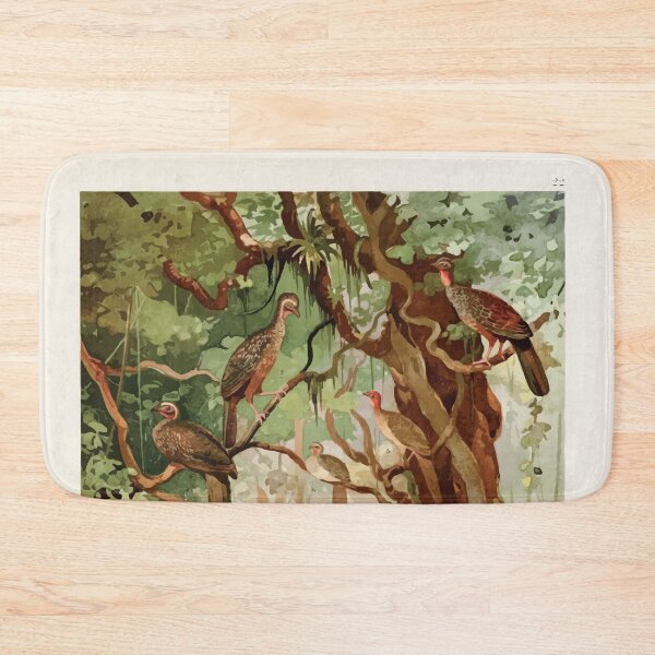 Item preview, Birds of the Amazon Album de aves amazonicas Emil Goldi 1906 024 Cujubi Jacus Aracuas Jacamims designed and sold by WetdryvacRB01.