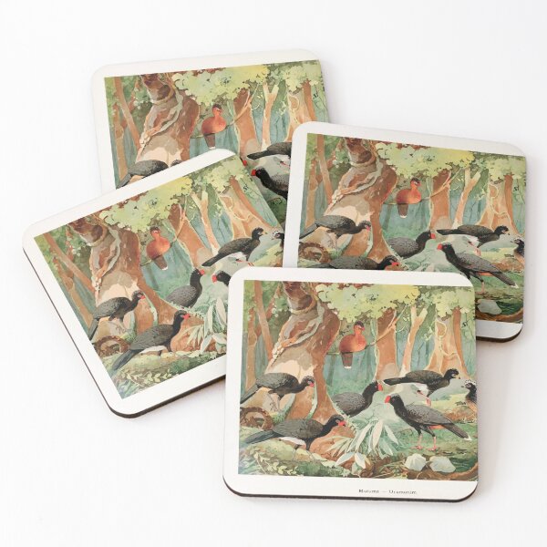 Item preview, Birds of the Amazon Album de aves amazonicas Emil Goldi 1906 025 Mutums Urumutum designed and sold by WetdryvacRB01.
