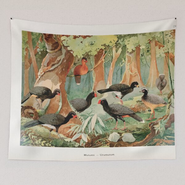 Item preview, Birds of the Amazon Album de aves amazonicas Emil Goldi 1906 025 Mutums Urumutum designed and sold by WetdryvacRB01.