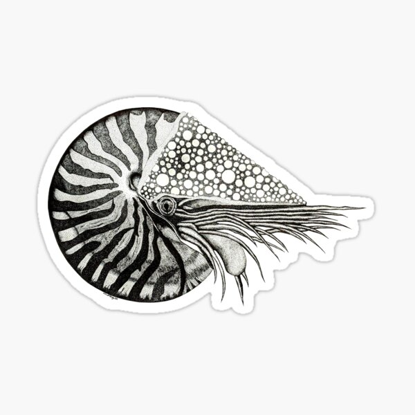 Nautilus Sticker