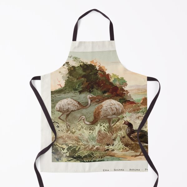 Item preview, Birds of the Amazon Album de aves amazonicas Emil Goldi 1906 026 Ema Seriema Anhuma Perdiz designed and sold by WetdryvacRB01.