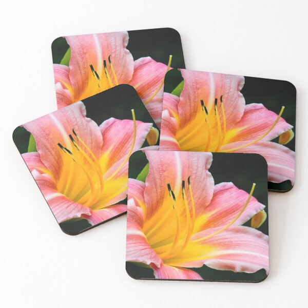 Item preview, Pink Daylily designed and sold by Photo Art By Anita.