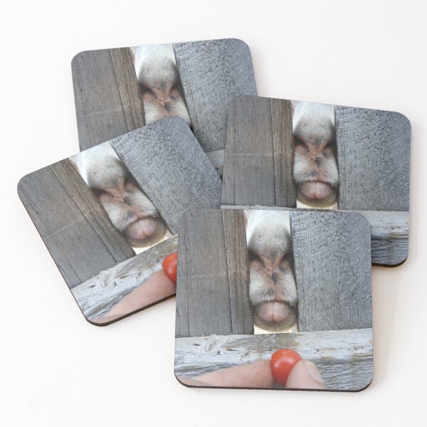 Item preview, funny goat face, goat tongue eating a tomato  designed and sold by Stephanie  Skeem.