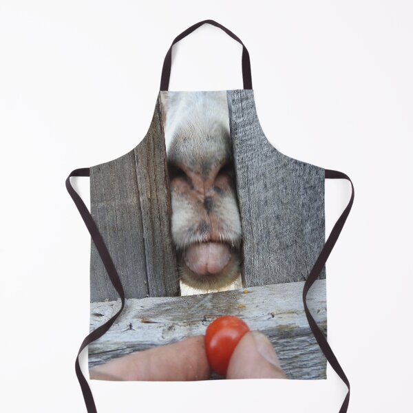 Item preview, funny goat face, goat tongue eating a tomato designed and sold by Stephanie Skeem.