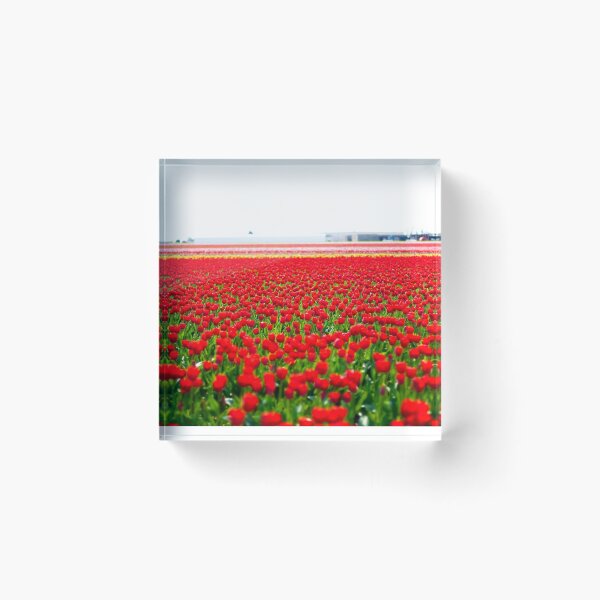 Item preview, Tiptoe through the Tulips designed and sold by Atmospheres.