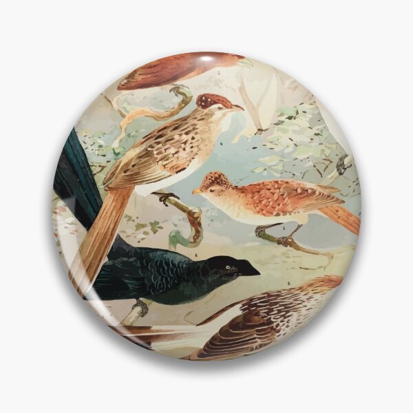 Item preview, Birds of the Amazon Album de aves amazonicas Emil Goldi 1906 027 Chincoa Saci Anu Quiriru designed and sold by WetdryvacRB01.