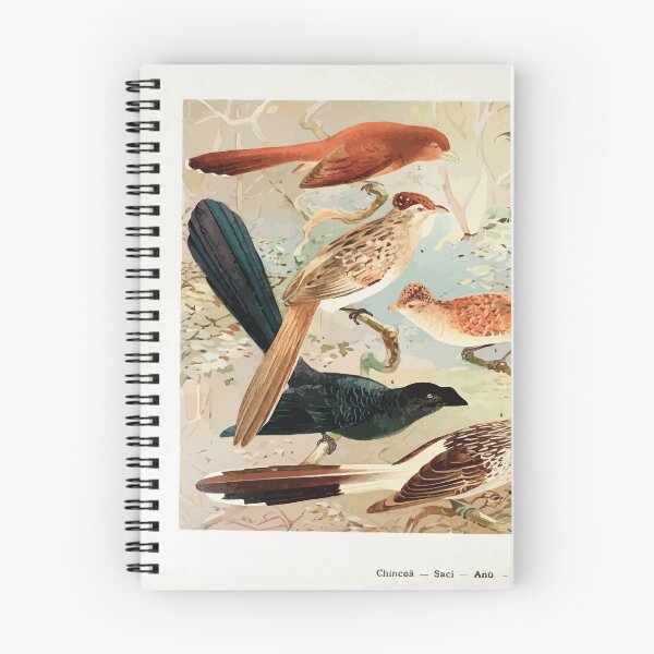 Item preview, Birds of the Amazon Album de aves amazonicas Emil Goldi 1906 027 Chincoa Saci Anu Quiriru designed and sold by WetdryvacRB01.