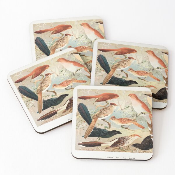 Item preview, Birds of the Amazon Album de aves amazonicas Emil Goldi 1906 027 Chincoa Saci Anu Quiriru designed and sold by WetdryvacRB01.