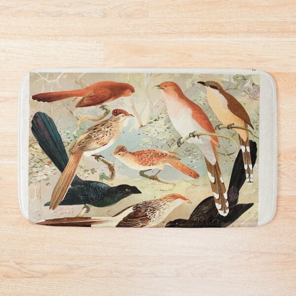 Item preview, Birds of the Amazon Album de aves amazonicas Emil Goldi 1906 027 Chincoa Saci Anu Quiriru designed and sold by WetdryvacRB01.