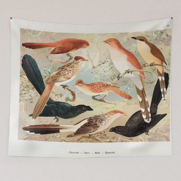 Item preview, Birds of the Amazon Album de aves amazonicas Emil Goldi 1906 027 Chincoa Saci Anu Quiriru designed and sold by WetdryvacRB01.