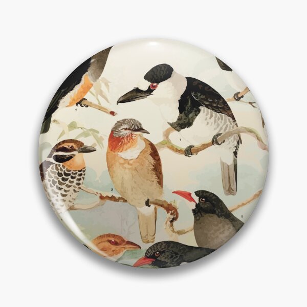 Item preview, Birds of the Amazon Album de aves amazonicas Emil Goldi 1906 028 Macurus Tanguru para Urubusinho designed and sold by WetdryvacRB01.