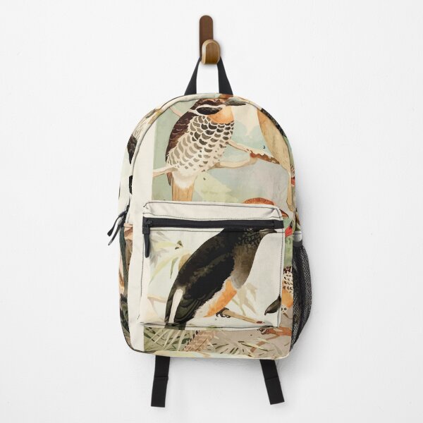 Item preview, Birds of the Amazon Album de aves amazonicas Emil Goldi 1906 028 Macurus Tanguru para Urubusinho designed and sold by WetdryvacRB01.