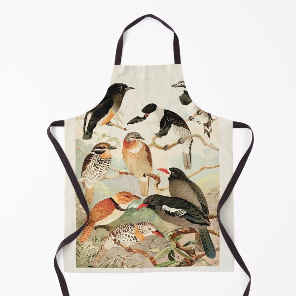 Item preview, Birds of the Amazon Album de aves amazonicas Emil Goldi 1906 028 Macurus Tanguru para Urubusinho designed and sold by WetdryvacRB01.