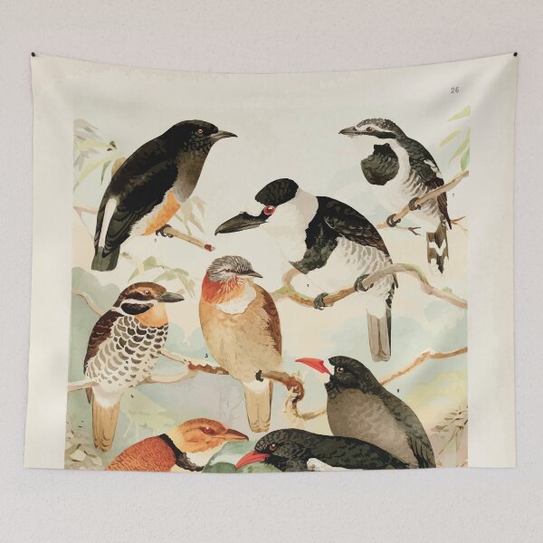 Item preview, Birds of the Amazon Album de aves amazonicas Emil Goldi 1906 028 Macurus Tanguru para Urubusinho designed and sold by WetdryvacRB01.