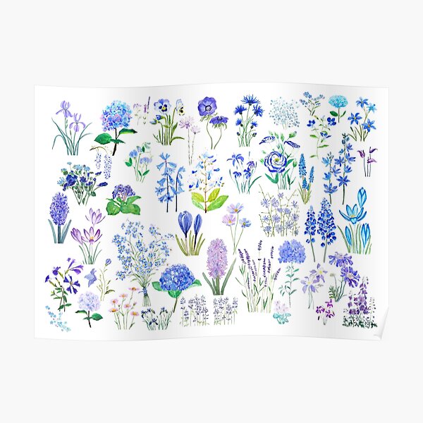 blue and purple flower collection 2020 watercolor Poster