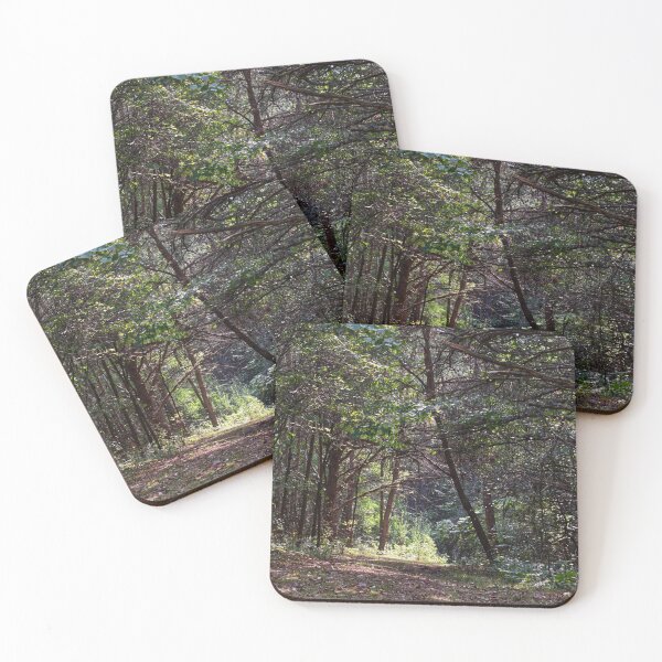 Item preview, into the forest designed and sold by astro-nature.