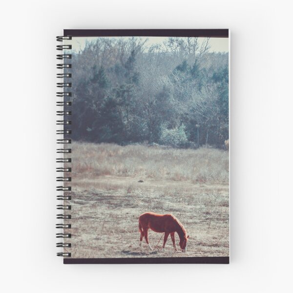 Aperçu de l'œuvre Cheval solitaire créée et vendue par Cas Corbin.