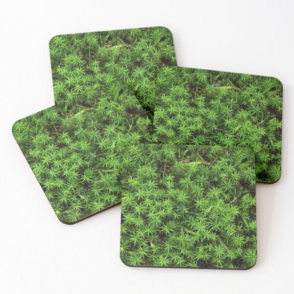 Item preview, Moss designed and sold by Tim Friesen.
