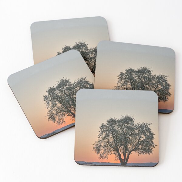 Item preview, Beautiful Orange Tree Sunset designed and sold by newburyboutique.