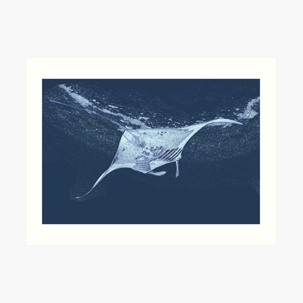Painting style Manta ray Art Print