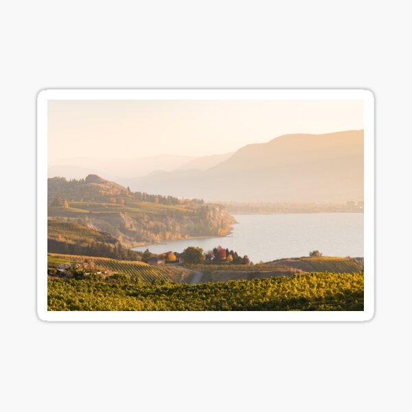 Item preview, Okanagan Valley Vineyards at Sunset designed and sold by Amy Mitchell.