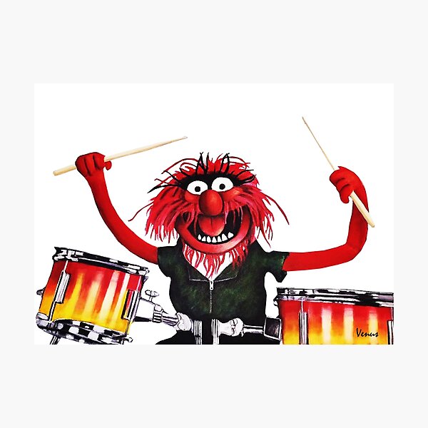 Animal Drummer Photographic Print