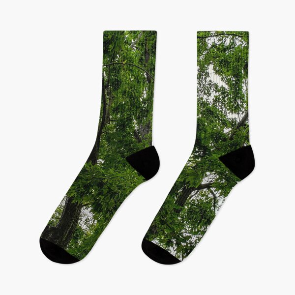 Item preview, Lincoln Park Trees designed and sold by WhatASight.