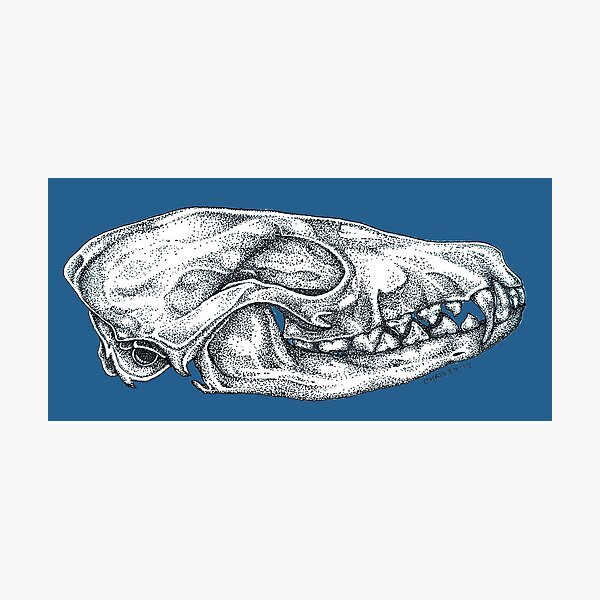 Item preview, Fox Skull - Blue designed and sold by notchristeehee.