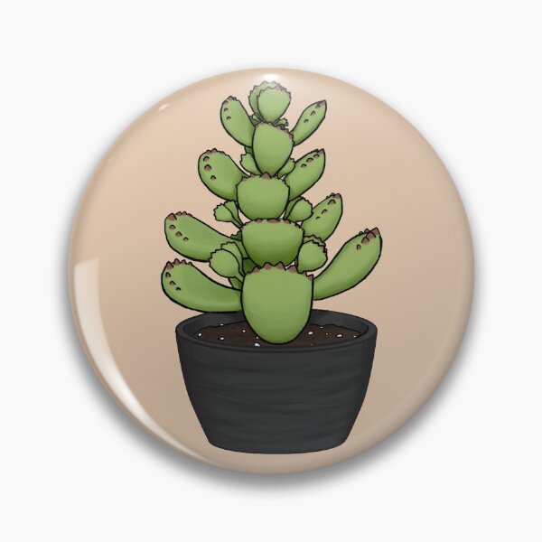 Item preview, Bear Paws/Kitten Paws Cotyledon Tomentosa Succulent Sketch designed and sold by Charredsky.