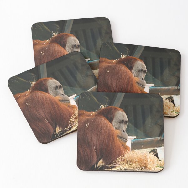 Item preview, Orangutan designed and sold by heyiitshaleyy.