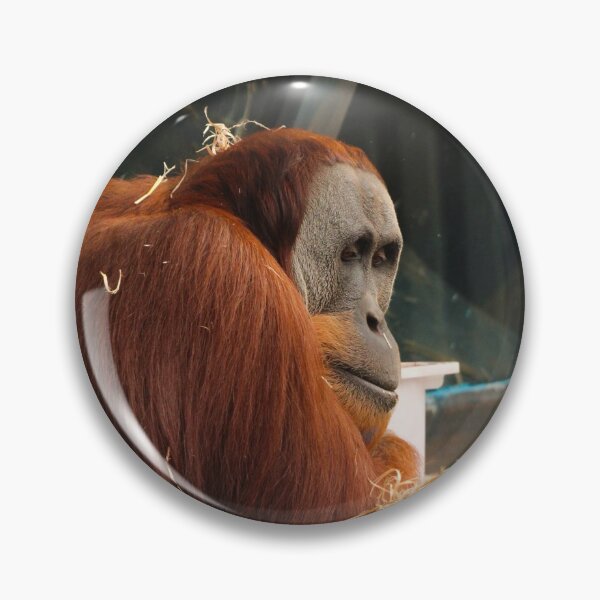 Item preview, Orangutan designed and sold by heyiitshaleyy.