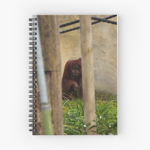 Item preview, Orangutan designed and sold by heyiitshaleyy.