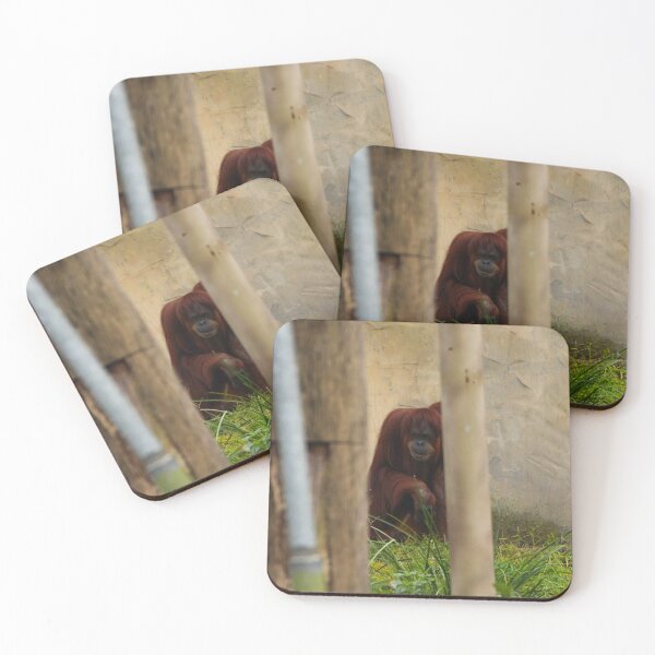Item preview, Orangutan designed and sold by heyiitshaleyy.