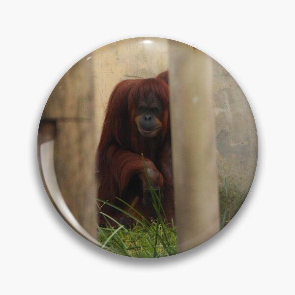 Item preview, Orangutan designed and sold by heyiitshaleyy.