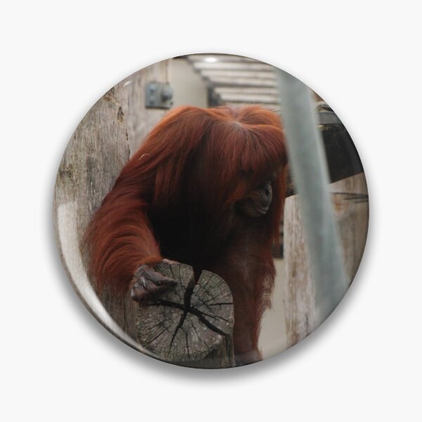 Item preview, Orangutan designed and sold by heyiitshaleyy.