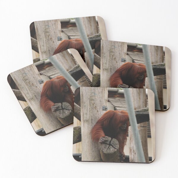 Item preview, Orangutan designed and sold by heyiitshaleyy.