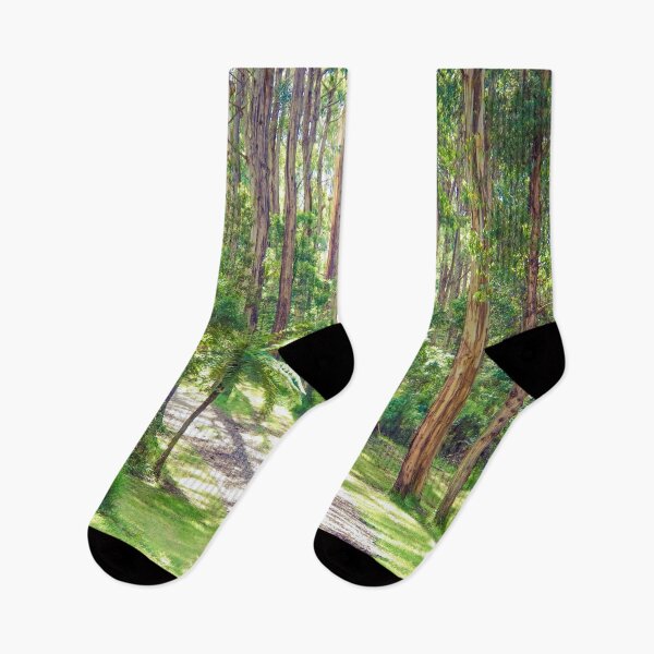 Item preview, Mountain Ash in the Dandenongs - Melbourne, Victoria designed and sold by Steven Jodoin.