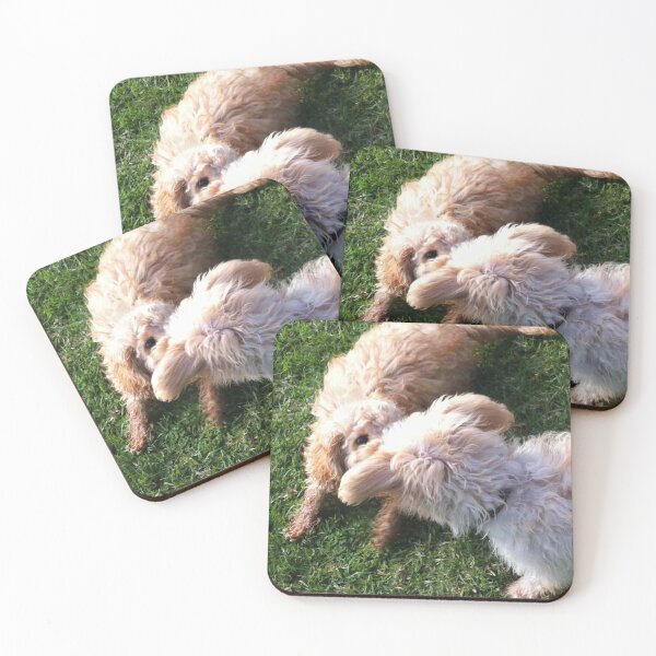Item preview, Friend or Foe...? designed and sold by Roz McQuillan Fine Art & Photography.