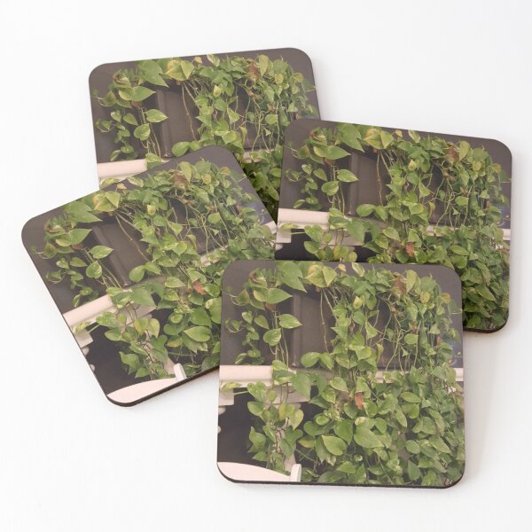 Item preview, The Vines designed and sold by Korroby.
