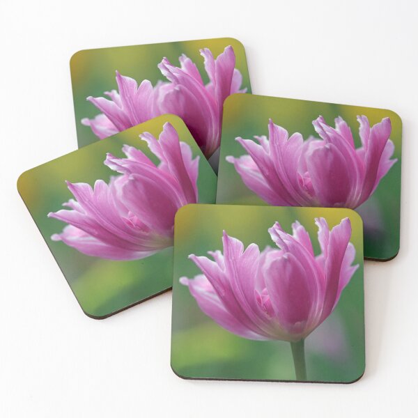 Item preview, Pink Tulip designed and sold by LeanneAllen.
