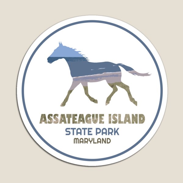 Assateague Island Virginia Highlight Fridge Magnet 