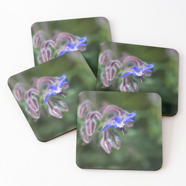 Item preview, Borage Flower With Buds designed and sold by Joy Watson - Natural Light Photography .